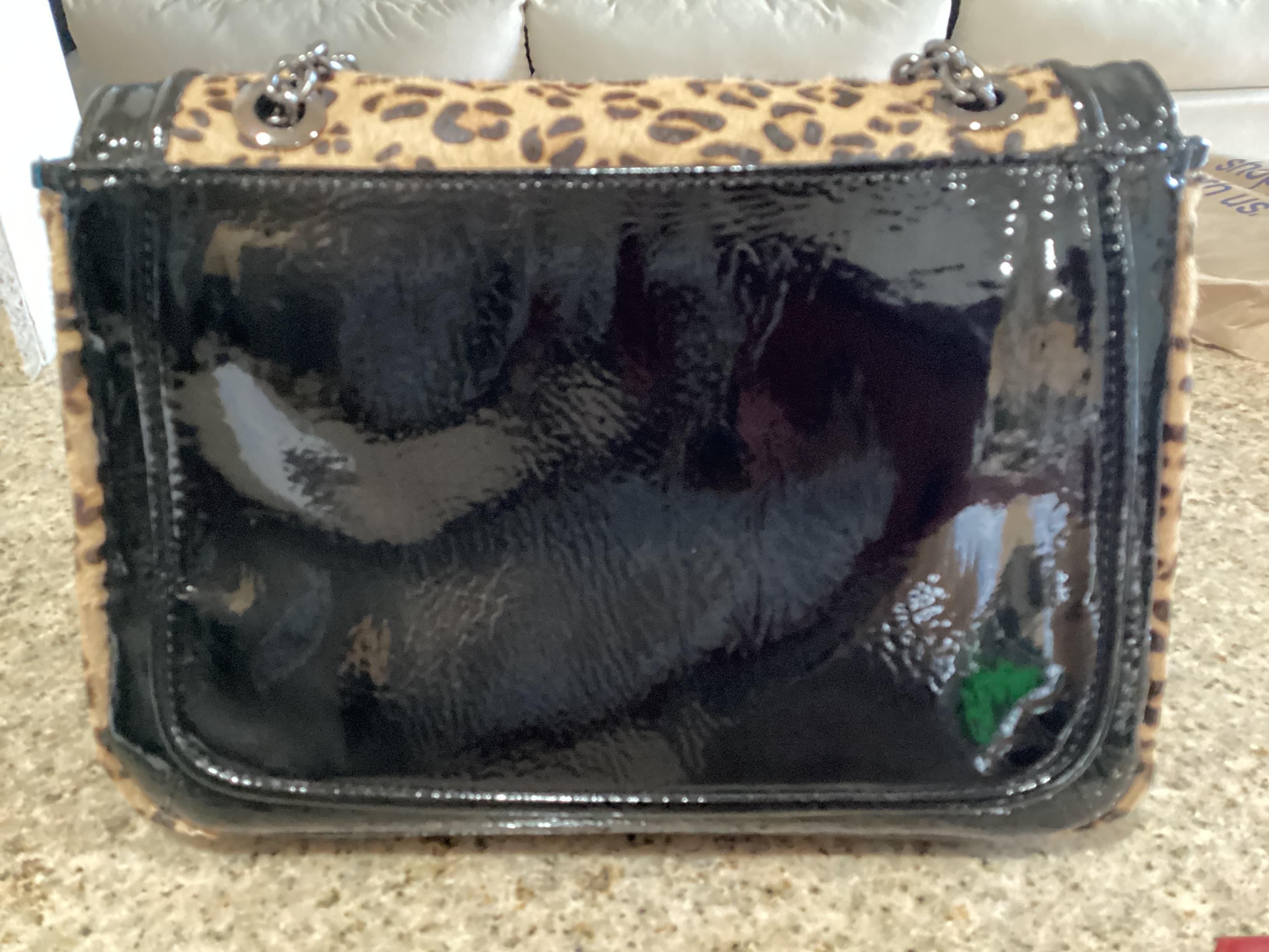Chicos, Front. Condition: Mint.