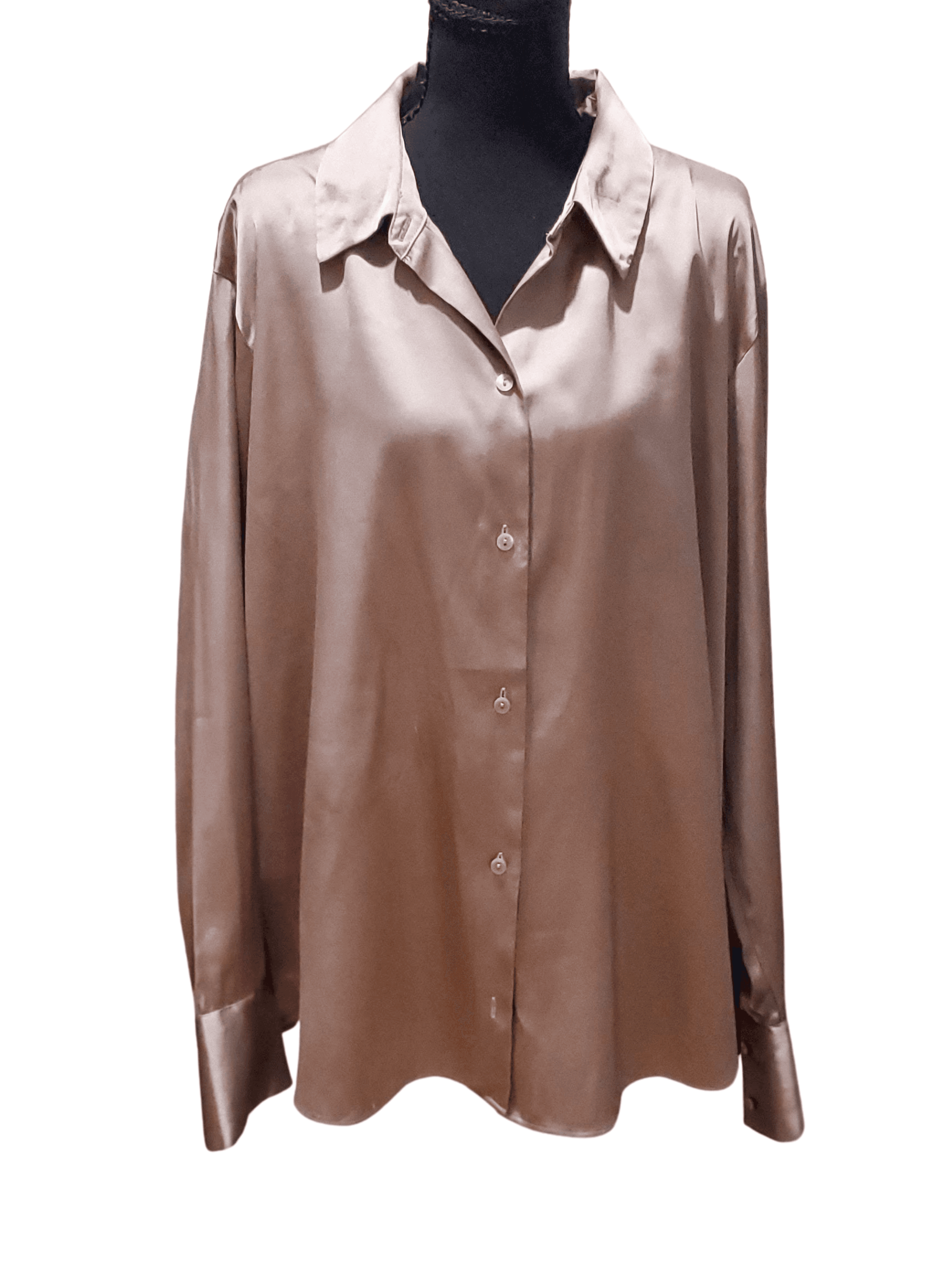Abercrombie & Fitch , Abercrombie & Fitch — Abercrombie &Fitch silky satin collared Blouse X-LARGE , excellent